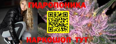 кокс Вышний Волочёк