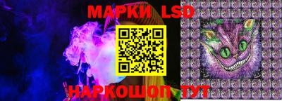 индика Вязьма