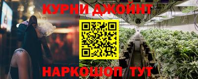 индика Вязьма