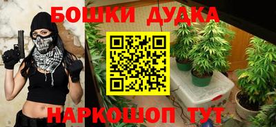 индика Вязьма