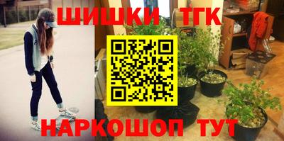 индика Вязьма