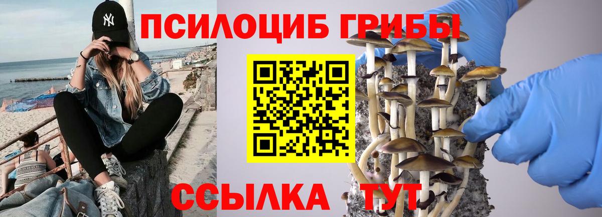 Галлюциногенные грибы Psilocybine cubensis Дзержинск