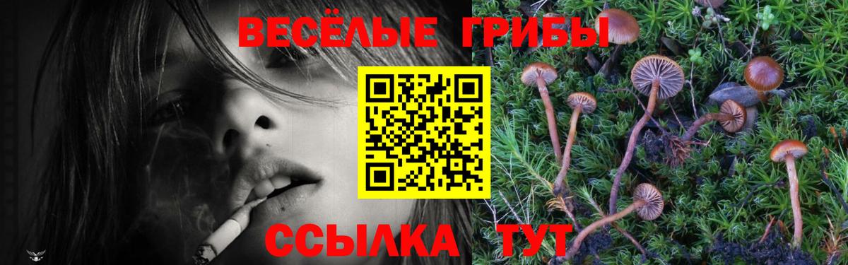 Галлюциногенные грибы Cubensis  Вход с VPN  Дзержинск 